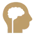 Head With Brain